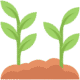 beplanting aanleggen